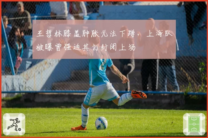 王哲林膝盖肿胀无法下蹲,上海队被曝曾强迫其打封闭上场