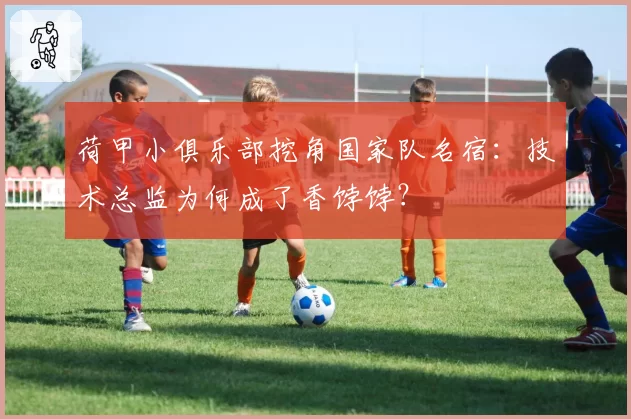 荷甲小俱乐部挖角国家队名宿：技术总监为何成了香饽饽？