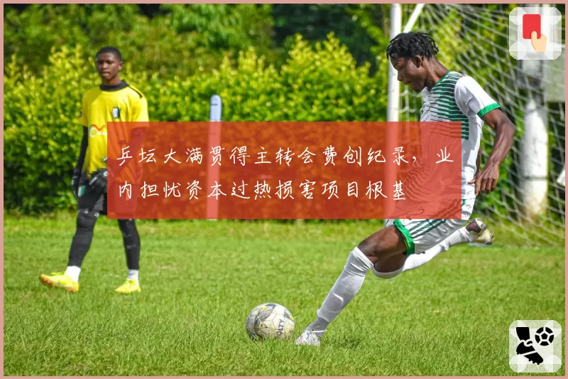 乒坛大满贯得主转会费创纪录，业内担忧资本过热损害项目根基